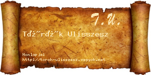 Török Ulisszesz névjegykártya